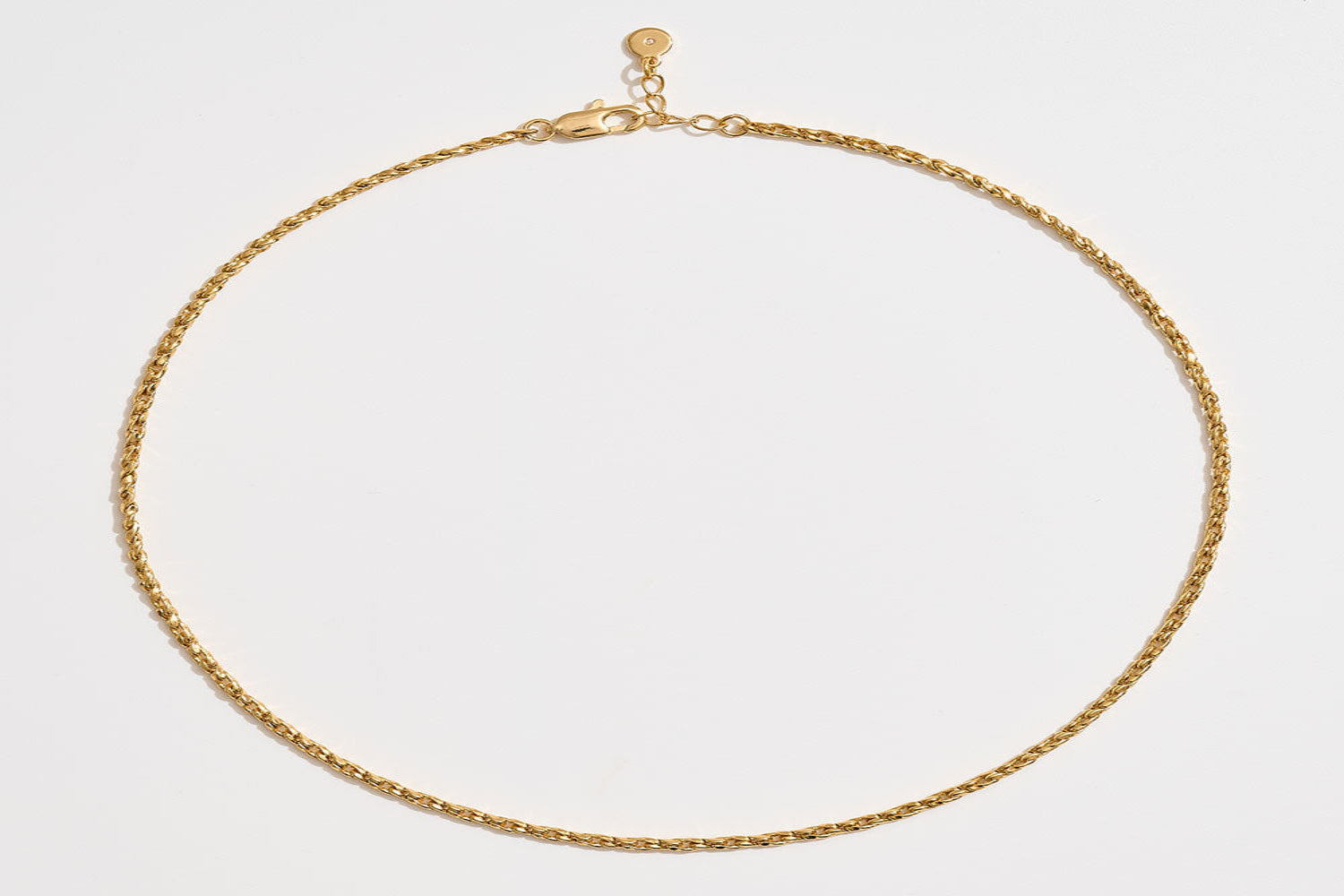 The Heritage Rope Chain Necklace